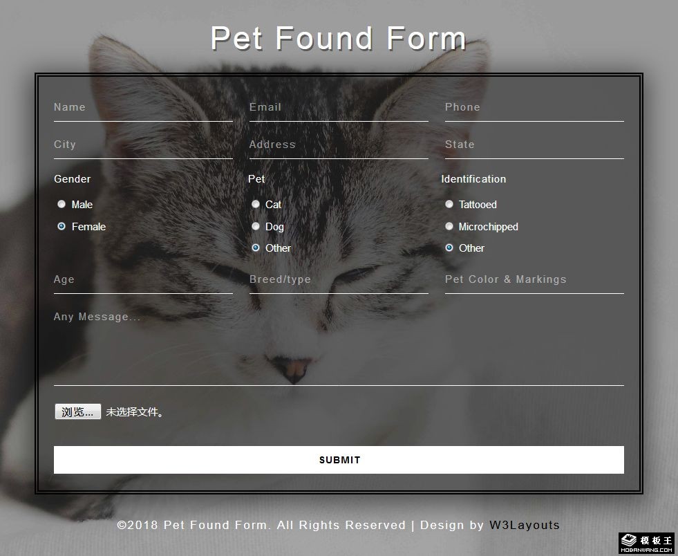 宠物登记表单响应式网页模板-PC预览