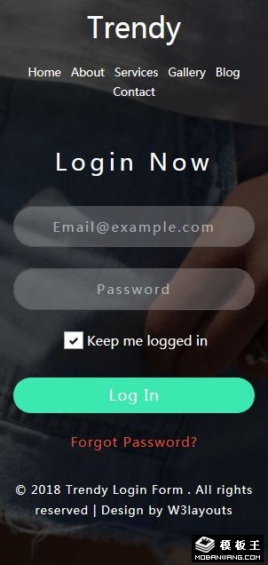 潮品登录表单网页模板-手机预览