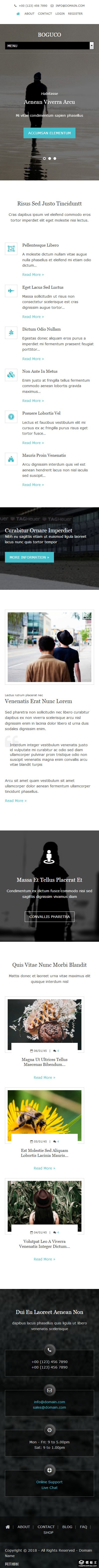 心海商业服务动态网页模板-手机预览