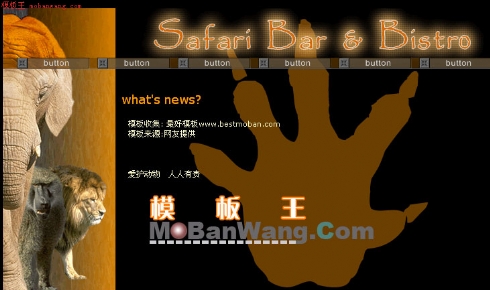 保护动物主题模板