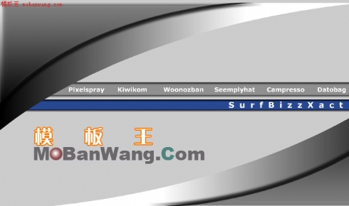 很完整的一个FLASH网站