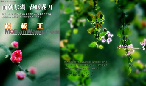欢迎春天主题网页模板