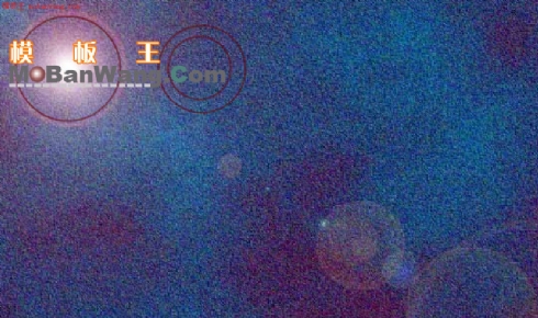FLASH网页模板