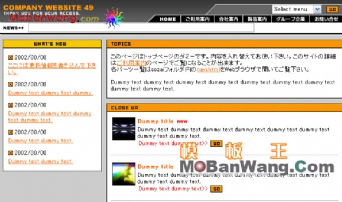 日本公司企业介绍网页模板