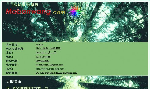 浅绿森林个人简历模板