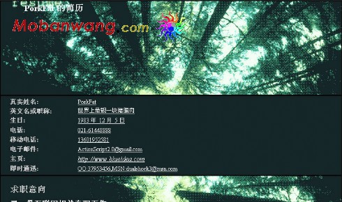 深绿森林个人简历模板