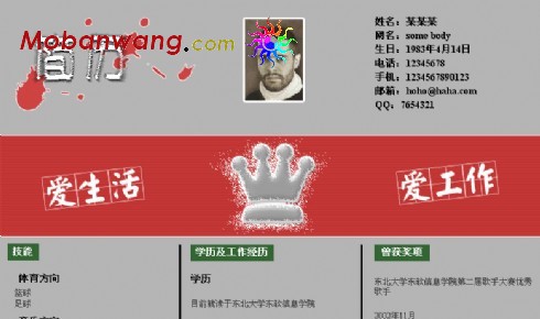 王者个人简历模板