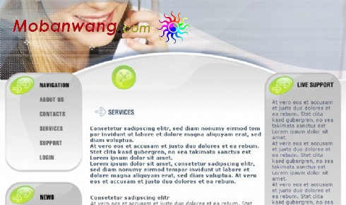 企业商务交流网页模板
