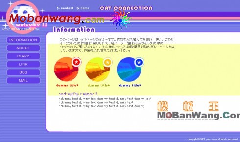 可爱猫个人网页模板
