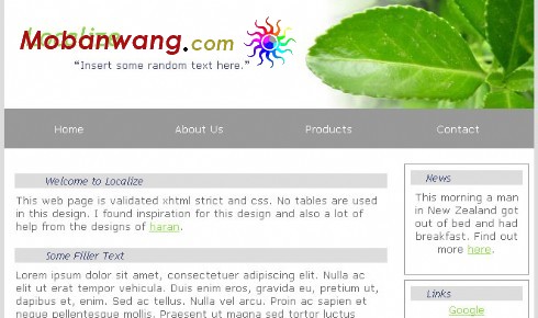 绿叶企业网站模板