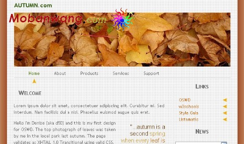 秋天主题BLOG网页模板