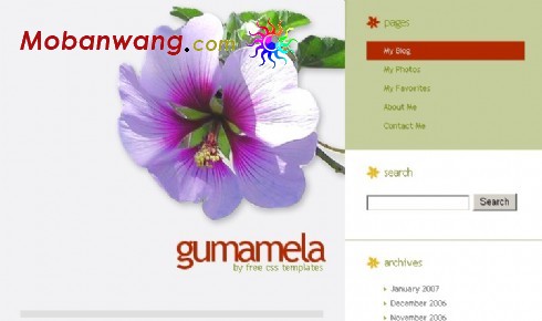 个人花朵主题BLOG网页模板