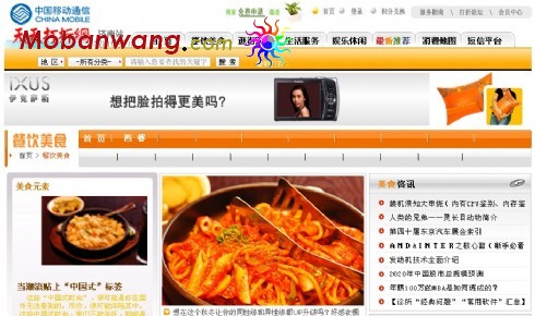 打折信息生活门户网页模板