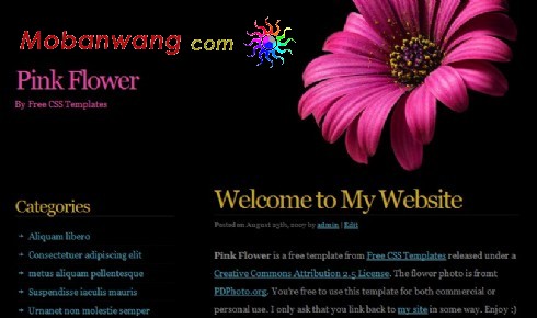 粉红花朵黑色BLOG网页模板