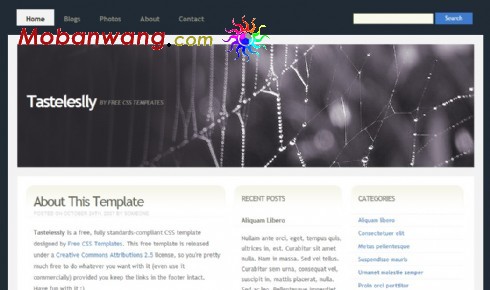 蜘蛛网主题BLOG网页模板