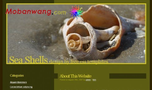 贝壳主题BLOG网页模板