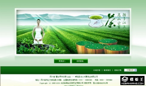 茶业公司引导首页网页模板