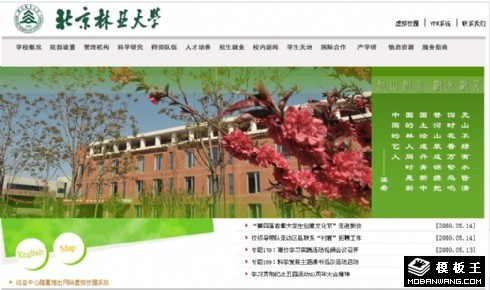 大学首页网页模板