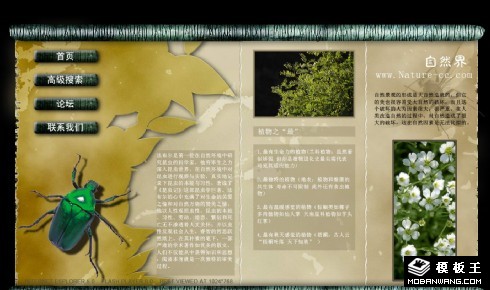 自然科普信息网页模板