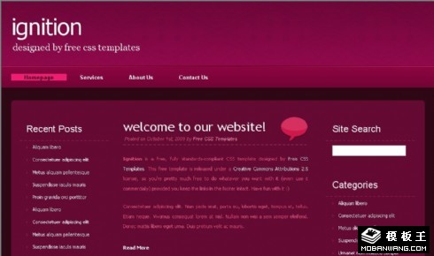 玫瑰色BLOG信息网页模板