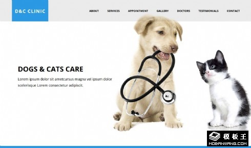 猫狗宠物诊所响应式网页模板